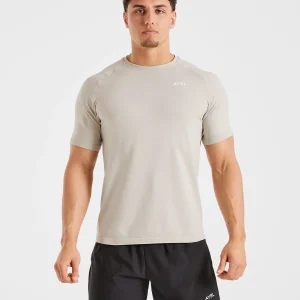 Ascend Seamless T Shirt - Ice Grey